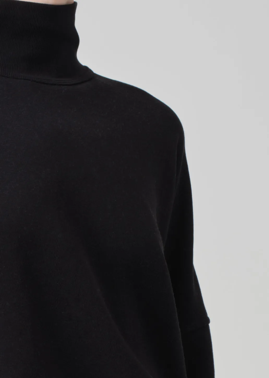 Cara Turtleneck