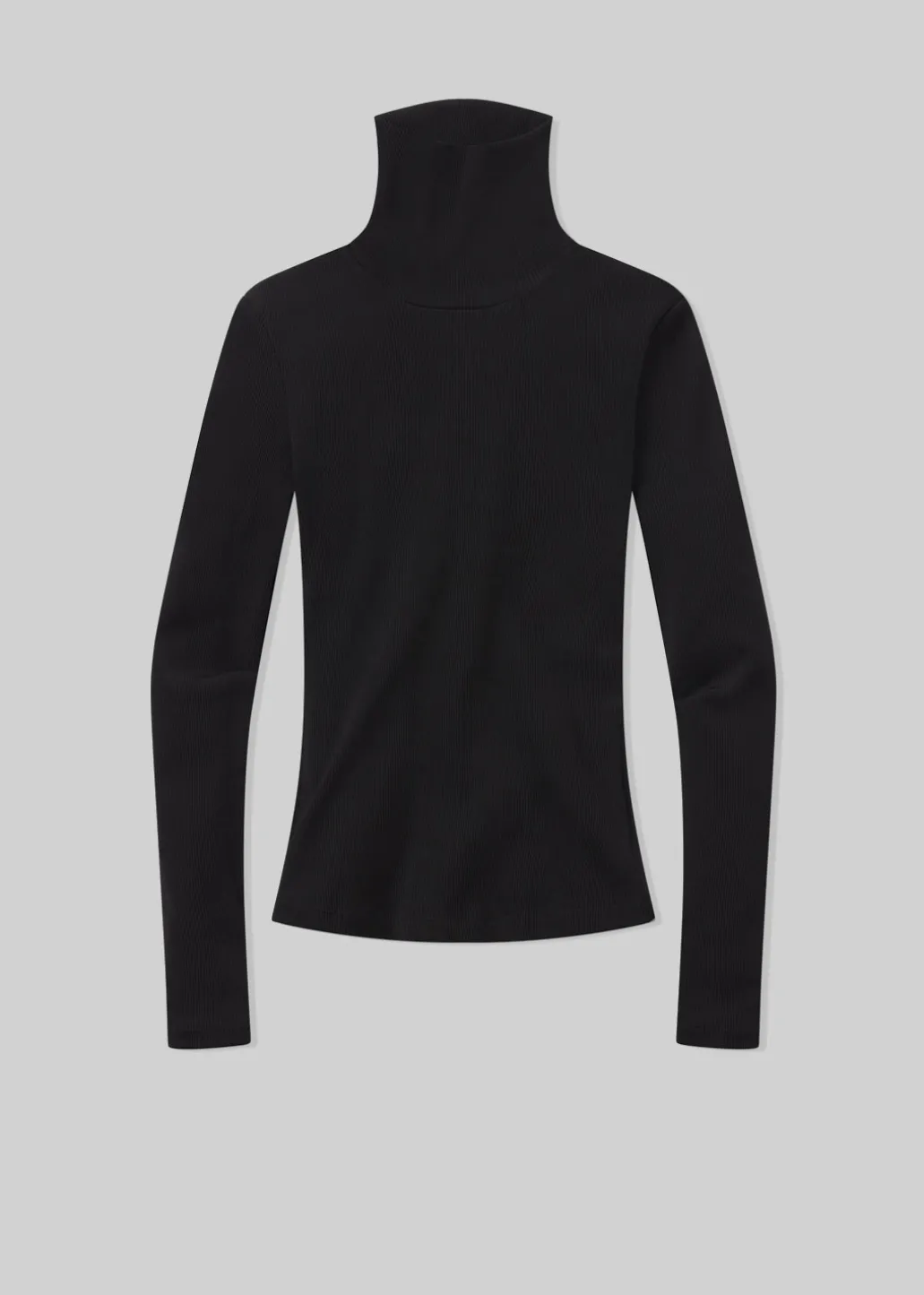 Caradene Turtleneck